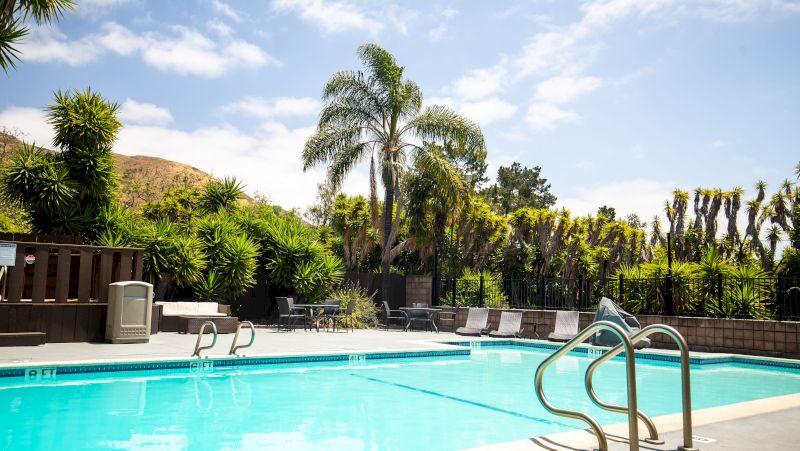 A swimming pool with lounge chairs and palm trees in the background.