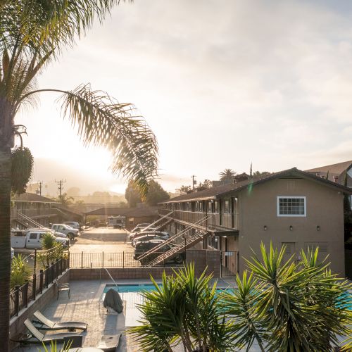 A sunlit motel scene features a pool, parked cars, and palm trees, set against a backdrop of buildings and a brightening sky for a serene atmosphere.