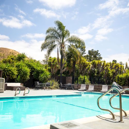 A serene outdoor pool surrounded by palm trees and greenery, with lounge chairs and a sunny, partly cloudy sky above it.