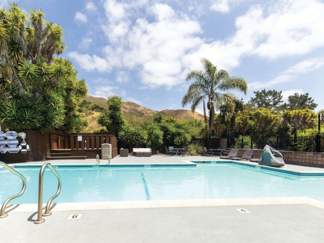 A swimming pool with lounge chairs and palm trees in the background