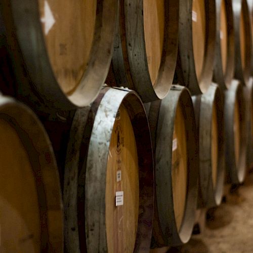 The image shows rows of wooden barrels, possibly for aging wine or spirits, lined up in a dimly lit cellar or storage area.