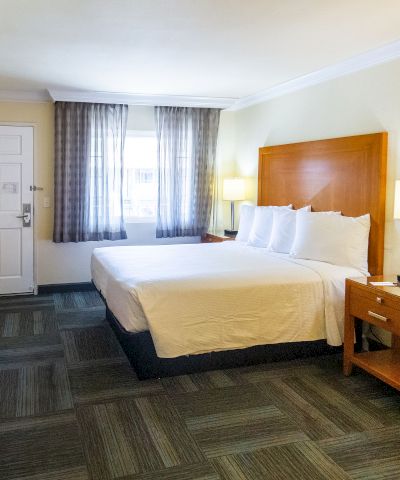 This image shows a hotel room with a king-sized bed, TV, desk, nightstand, and lamps. There is natural light coming from a window near the bed.