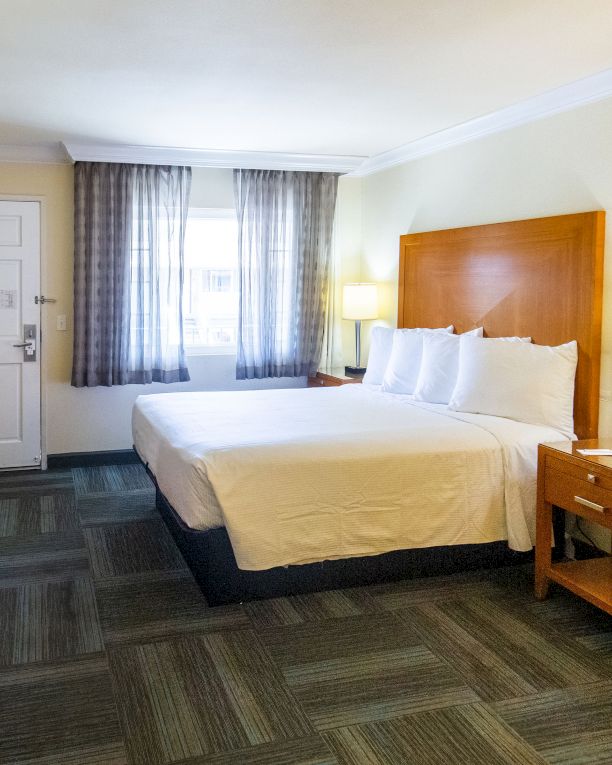 This image shows a hotel room with a king-sized bed, TV, desk, nightstand, and lamps. There is natural light coming from a window near the bed.