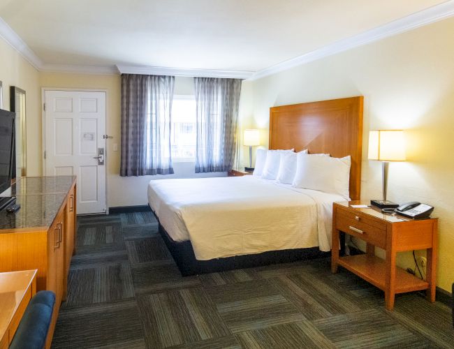 This image shows a hotel room with a king-sized bed, TV, desk, nightstand, and lamps. There is natural light coming from a window near the bed.